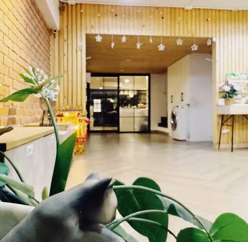 Apartamento Single Beds, Private Bath & Balcony, Shared Kitchen With Local Family By Pillows & Purrs